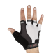 Spiuk XP Summer Gloves